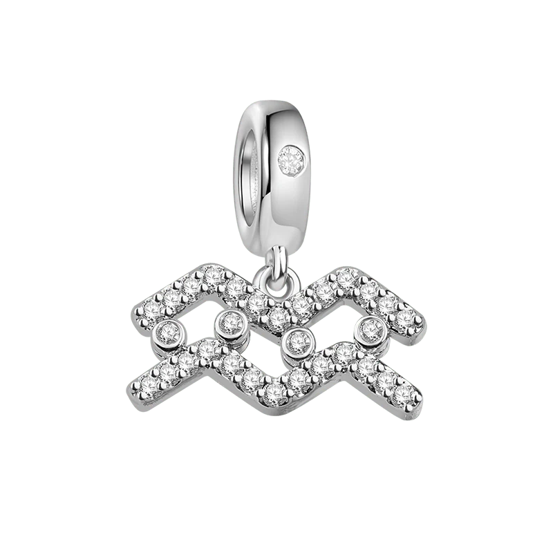 Gnoce Charme du Zodiaque Verseau Alliage argent plaqué platine