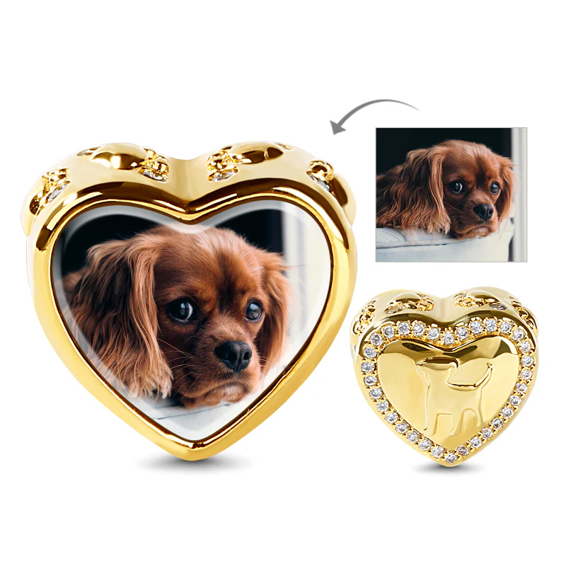 Gnoce Charme Photo Chiot en Forme de Cœur Alliage argent plaqué platine