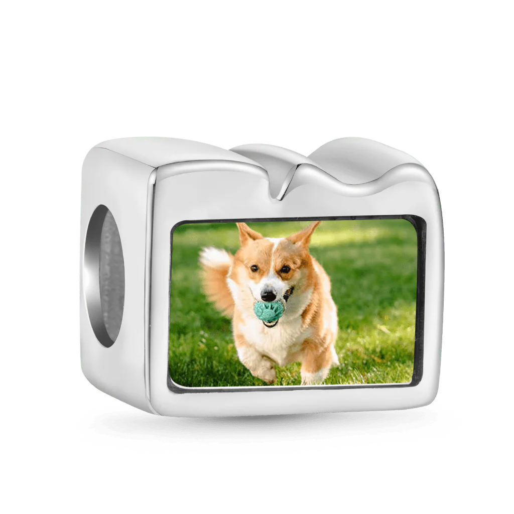 Gnoce Charm photo d'animal mignon Alliage argent plaqué platine - Image 2