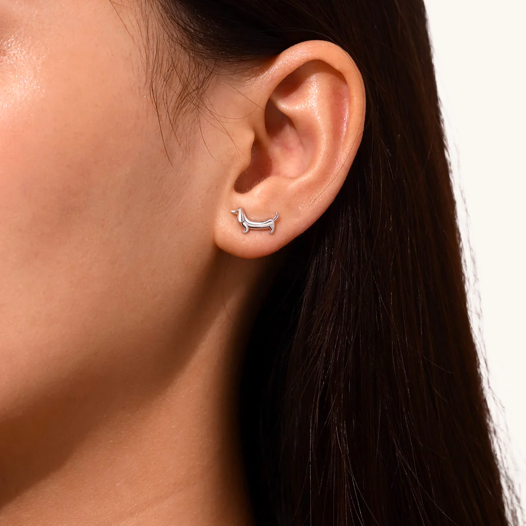Gnoce Boucles d'oreilles clou en forme de teckel Alliage argent plaqué platine - Image 4